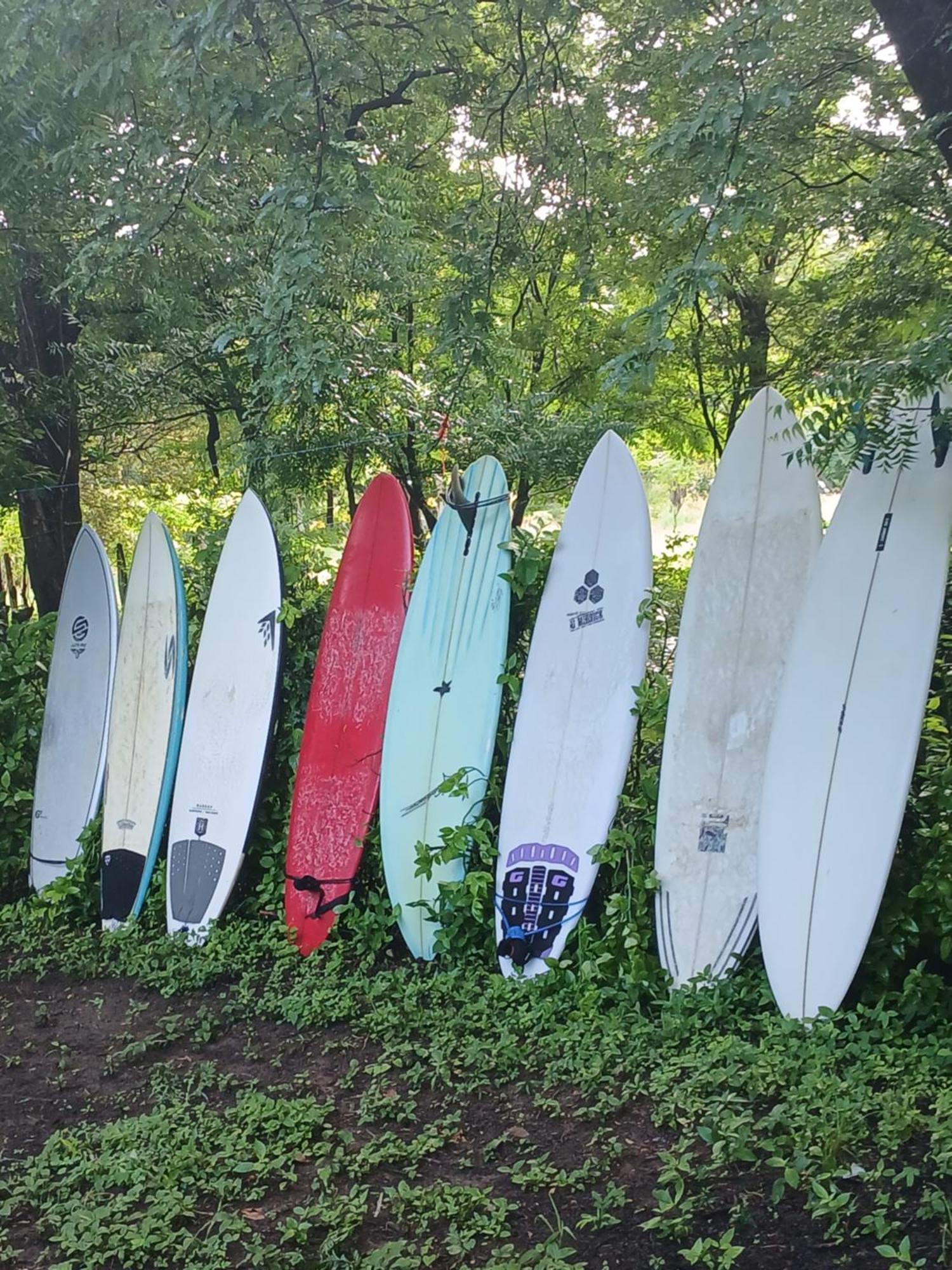 مبيت وإفطار Mola Mola Surf بوبويو المظهر الخارجي الصورة